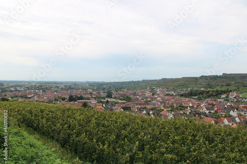 Ihrigen (Kaiserstuhl) as seen from the vineyard
