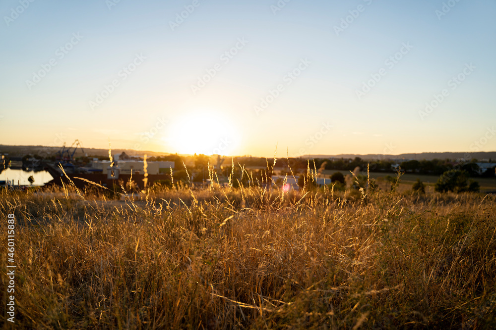 Orange meadow on hill with wheat and grass overlooking the horizon with river on sunset on clear sky sunny peaceful summer or autumn day. Nature, season and weather specific, agriculture