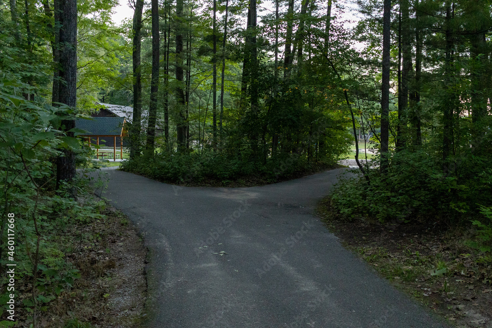 Fototapeta premium A path in the woods