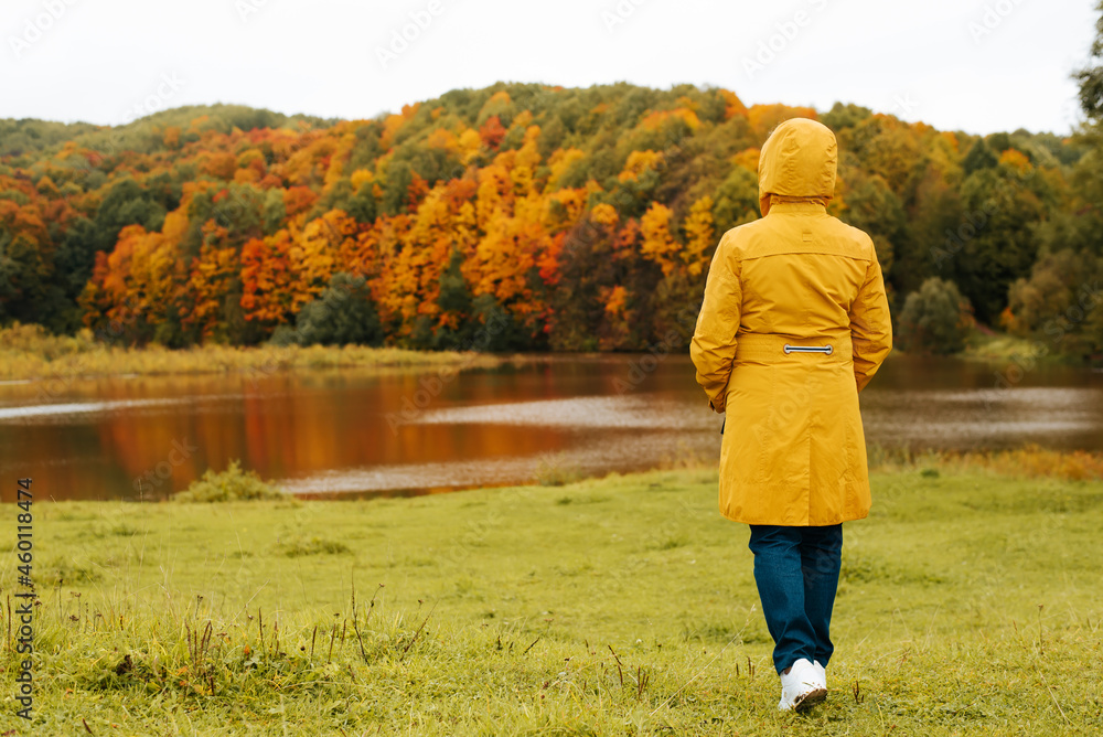 Back view of senior woman in yellow raincoat with hood walks along lake shore against backdrop of autumn landscape outdoors, copy space. Active leisure, autumn lifestyle
