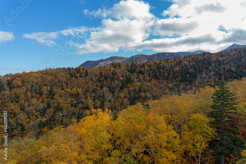 The earliest autumn leaves in Japan