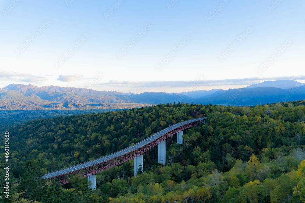 Large panoramic bridge and autumn leaves