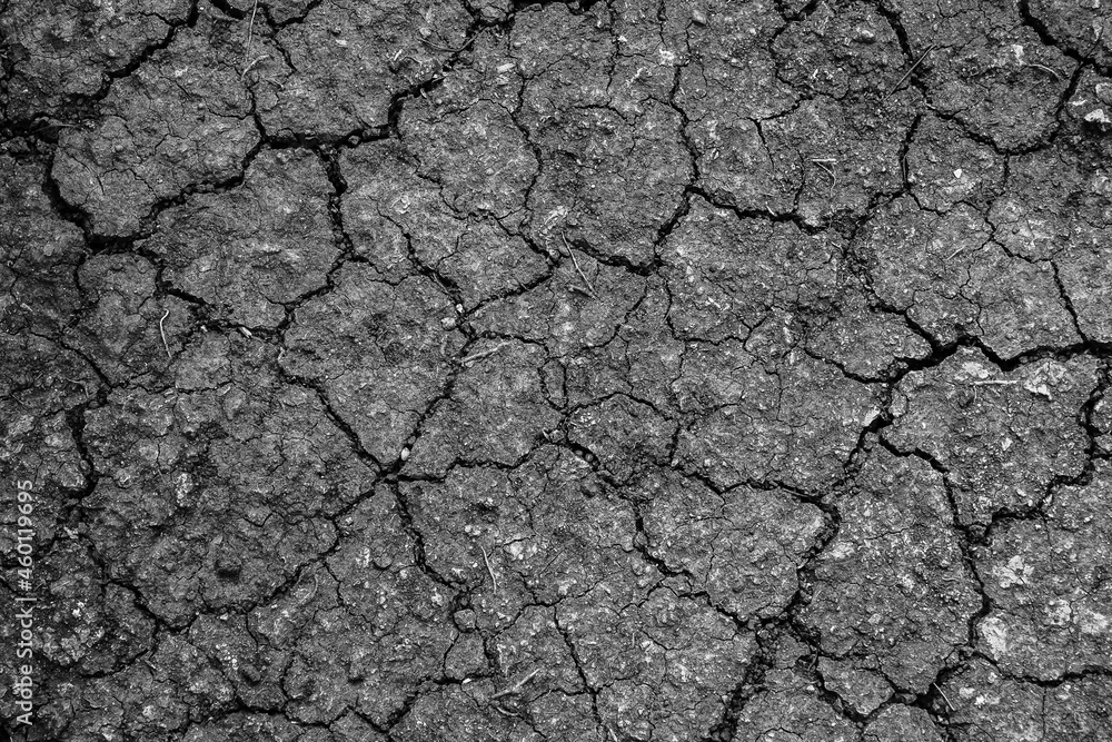 Fototapeta premium Top view of cracked black and white dry soil ground which is the effect from global warming, natural texture background