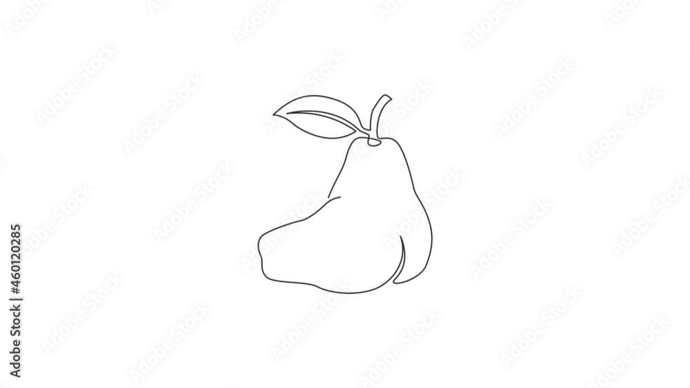 Animated self drawing of continuous line draw sliced and whole healthy pear organic for orchard logo identity. Fresh summer fruitage concept for fruit garden icon. Full length single line animation. Animated self drawing of continuous line draw sliced and whole healthy pear organic for orchard logo identity. Fresh summer fruitage concept for fruit garden icon. Full length single line animation.