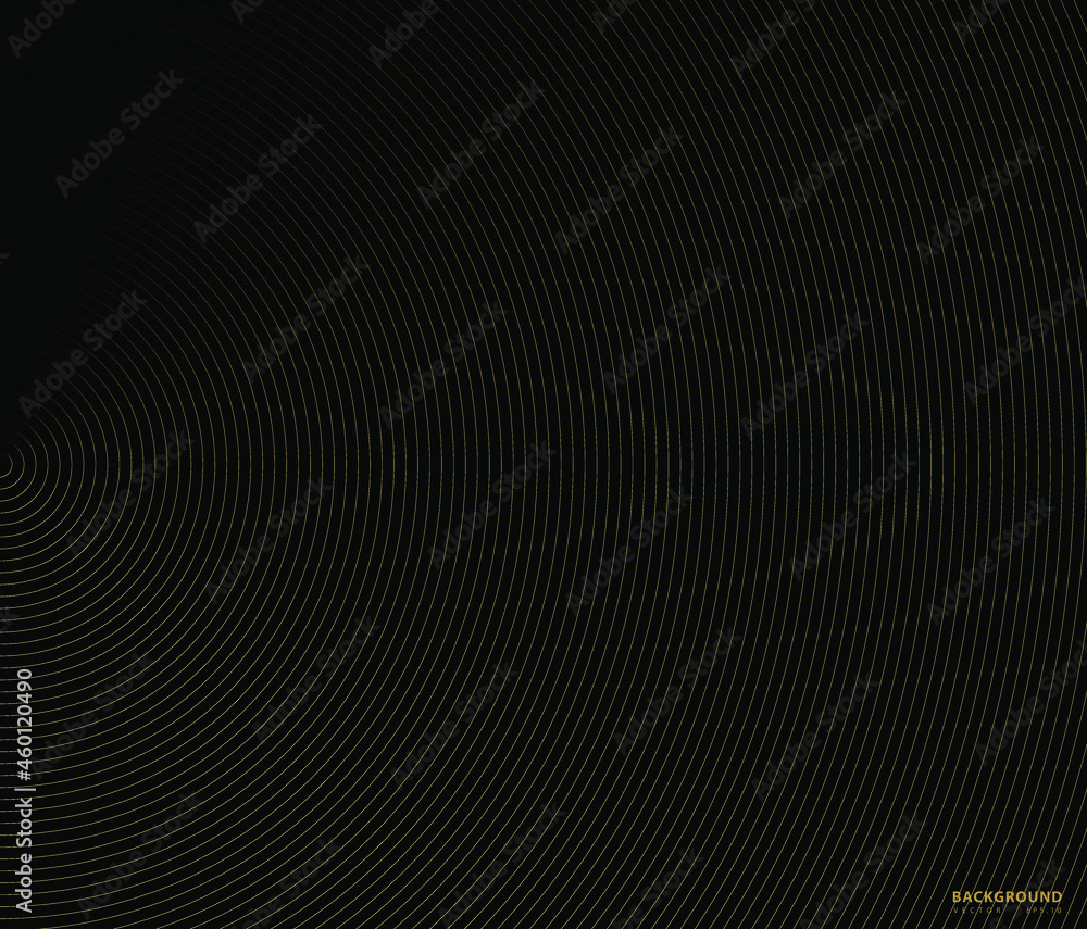 Concentric circle. Illustration for sound wave. Abstract circle line pattern. Black and white graphic Concentric circle. Illustration for sound wave. Abstract circle line pattern. Black and white graphic