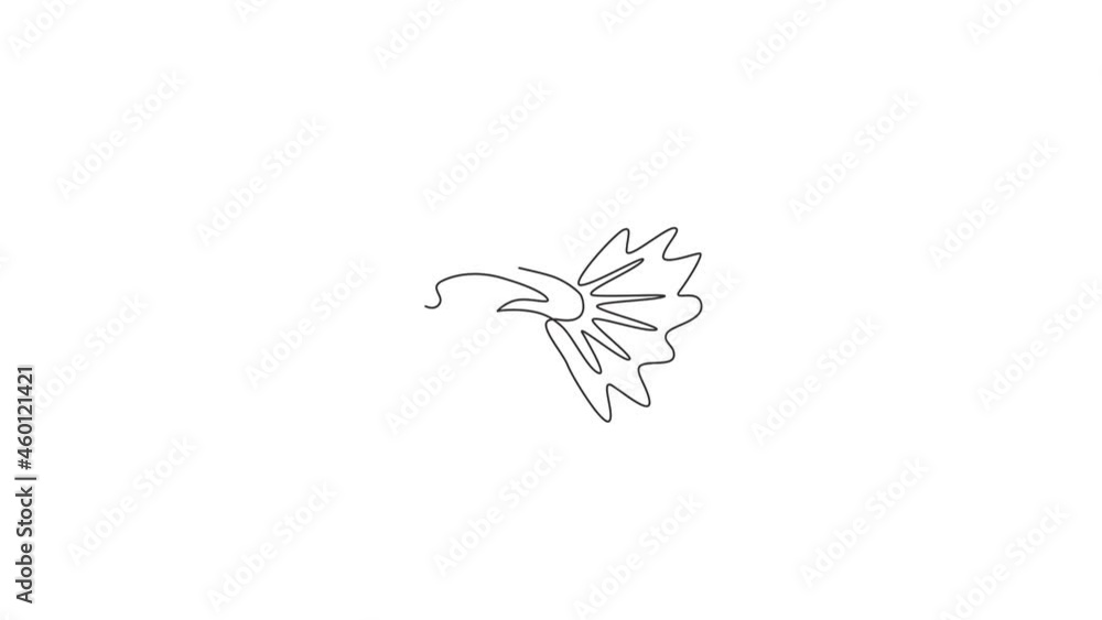 Animated self drawing of one continuous line draw cute guppy fish for logo identity. Millionfish pet mascot concept for aquatic icon. Full length single line animation illustration. Animated self drawing of one continuous line draw cute guppy fish for logo identity. Millionfish pet mascot concept for aquatic icon. Full length single line animation illustration.