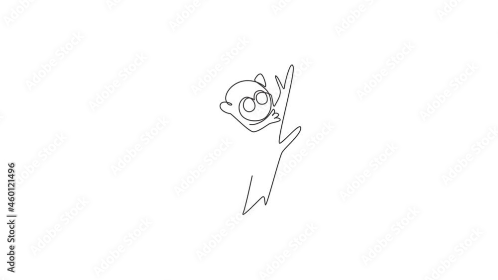 Animated self drawing of single continuous line draw adorable tarsier ...