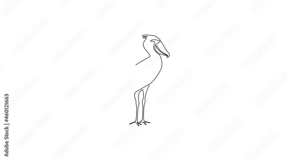 Animation of one single line drawing of enormous shoebill for company logo. Large prehistoric bird mascot concept for bird conservation icon. Continuous line self draw animated. Full length motion. Animation of one single line drawing of enormous shoebill for company logo. Large prehistoric bird mascot concept for bird conservation icon. Continuous line self draw animated. Full length motion.