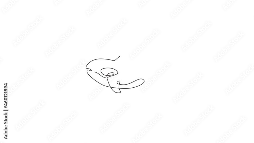 Animated self drawing of one continuous line draw cute orca for marine logo identity. Killer whale mascot concept for sea world show icon. Full length single line animation illustration. Animated self drawing of one continuous line draw cute orca for marine logo identity. Killer whale mascot concept for sea world show icon. Full length single line animation illustration.