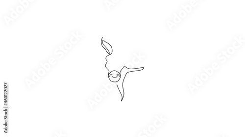 Animation of one single line drawing of cute donkey head for farm logo identity. Little horse mascot concept for national zoo icon. Continuous line self draw animated illustration. Full length motion. photo