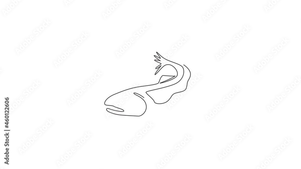 Animation of one single line drawing of big salmon for logo identity. Large lake fish mascot concept for fishing tournament icon. Continuous line self draw animated illustration. Full length motion. Animation of one single line drawing of big salmon for logo identity. Large lake fish mascot concept for fishing tournament icon. Continuous line self draw animated illustration. Full length motion.