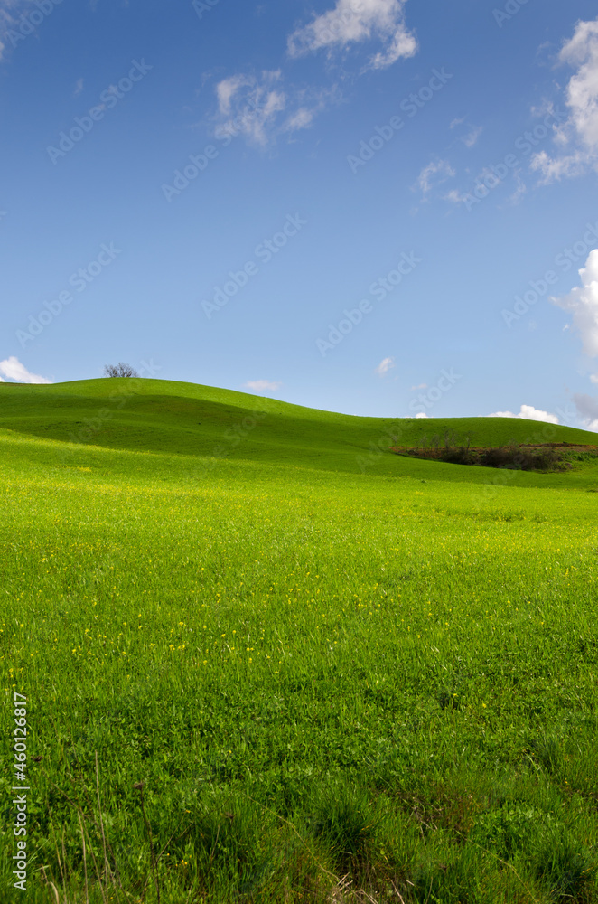 Fototapeta premium landscapes in the countryside of Tuscany in Italy