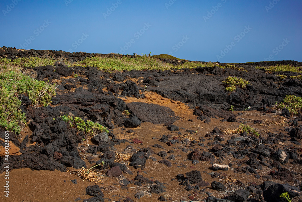 Characteristic view of lava stones of Linosa Characteristic view of lava stones of Linosa