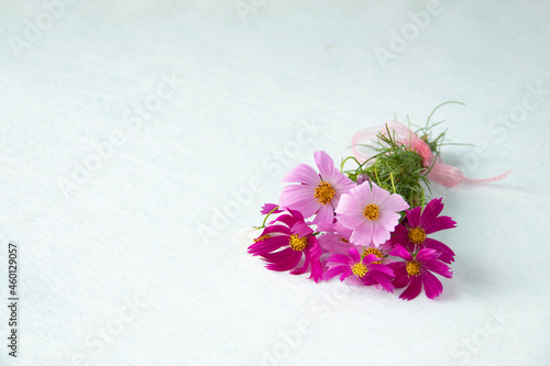 Fototapeta Naklejka Na Ścianę i Meble -  ピンクと白のコスモスの花束