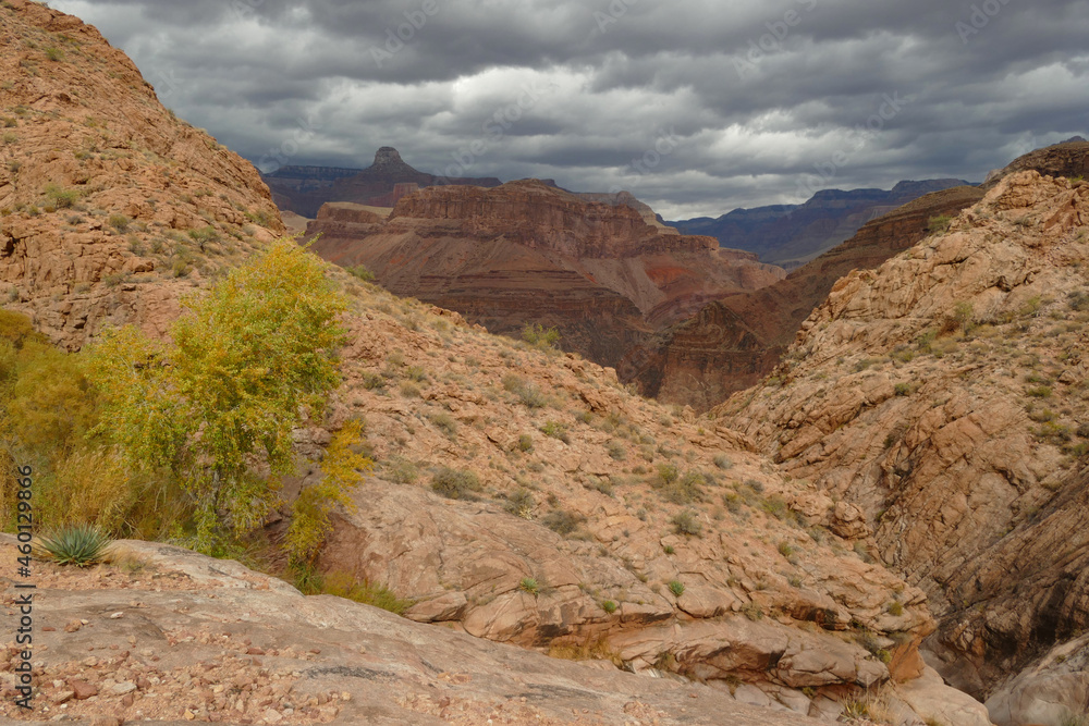 Grand Canyon National Park autumn landscape, popular tourist place, Arizona, United States