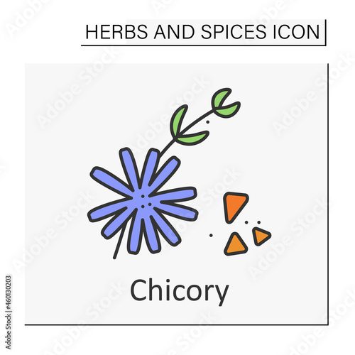 Chicory color icon. Crunchy bitter-tasting leaves. Herb for salads, roots for coffee.Medicine.Herbs and spices concept. Isolated vector illustration
