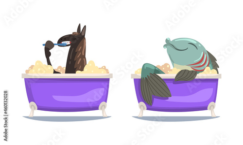 Llama and Fish in the Bathtub Washing Body with Soap Vector Set