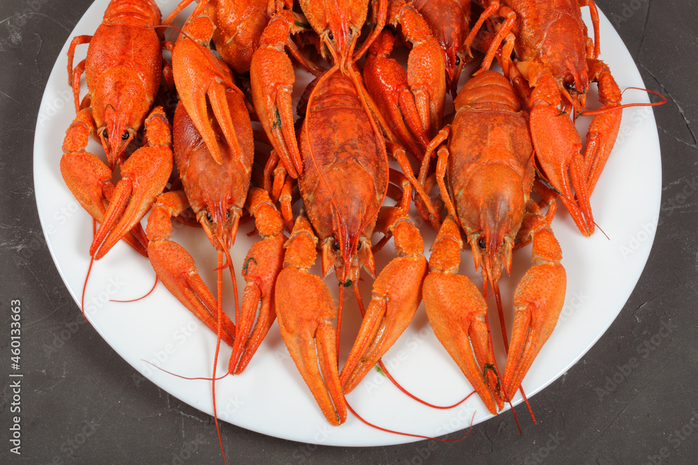 boiled crayfish on a white plate, dark concrete background boiled crayfish on a white plate, dark concrete background