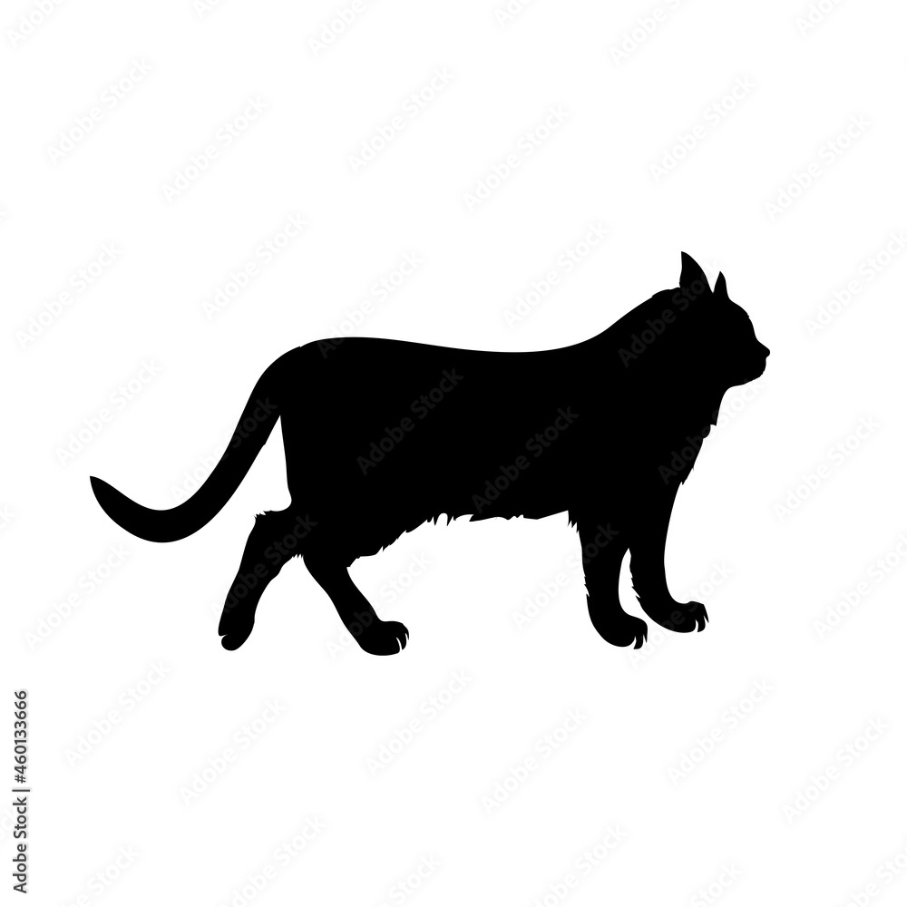 black silhouette of a cat with a long fluffy plush tail, white background