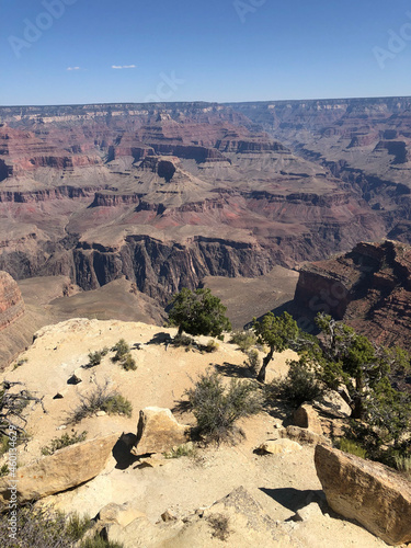 grand canyon state