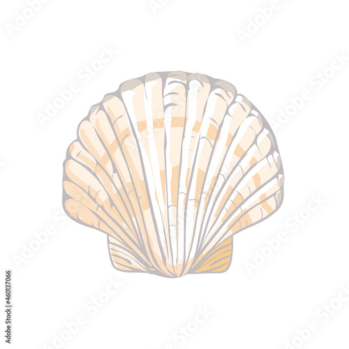 Cute pink sea shell. Hand drawn illustration vector.