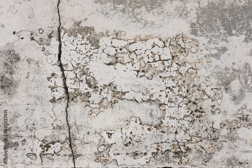 Fototapeta premium old texture