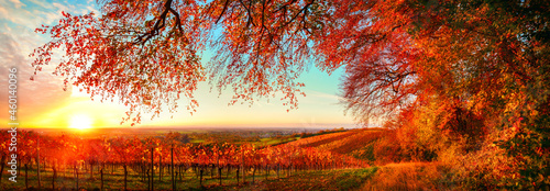 Принти на полотні Dreamy autumn sunset landscape panorama, a gorgeous rural scene with road of gra