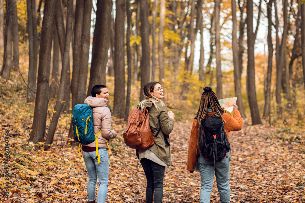 Three female friends enjoying hiking in forest.