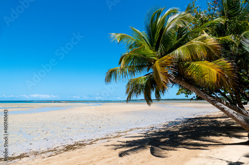 Idyllic beach with crystal clear water in Boipeba Island  State of Bahia  Brazil