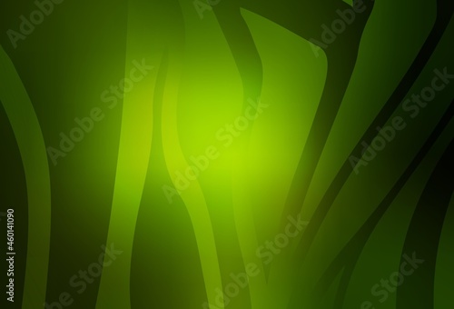 Dark Green vector blurred shine abstract background.