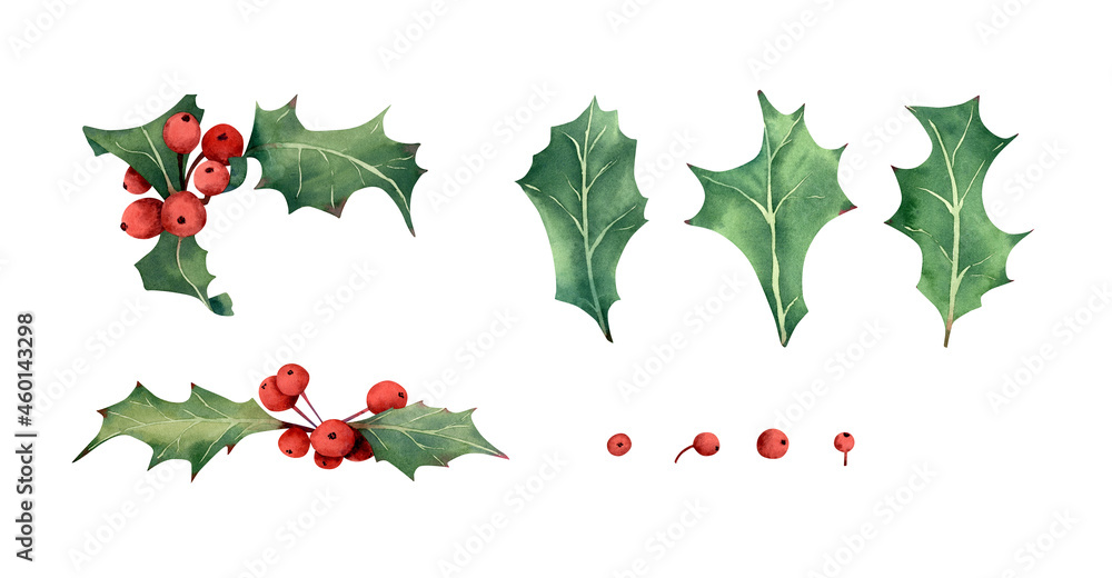 Watercolor holly berries illustration. Botanical set of christmas greens, leaf, branch and red berry for holidays decor, winter souvenirs design