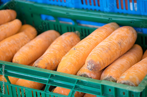 carrots in the market