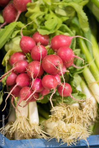bunch of radishes