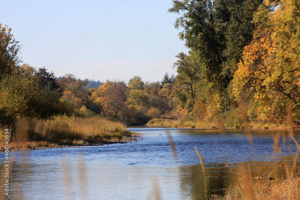 Willamette River in Fall
Mt. Pisgah, Eugene, Oregon