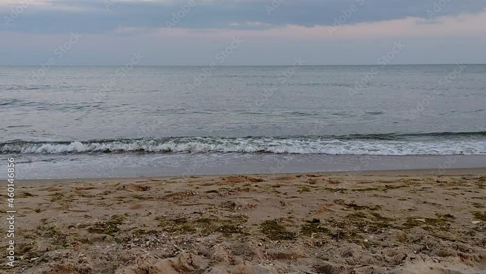 Evening landscape, a wave runs on the sandy shore of the sea, mobile video Evening landscape, a wave runs on the sandy shore of the sea, mobile video