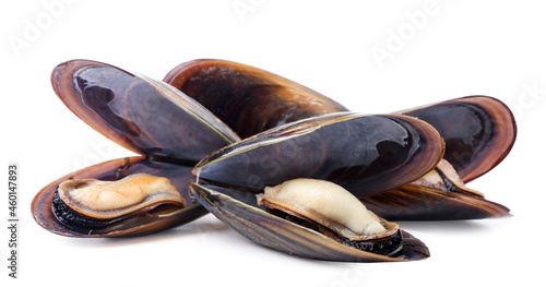 Mussels in seashells on a white background. Isolated
