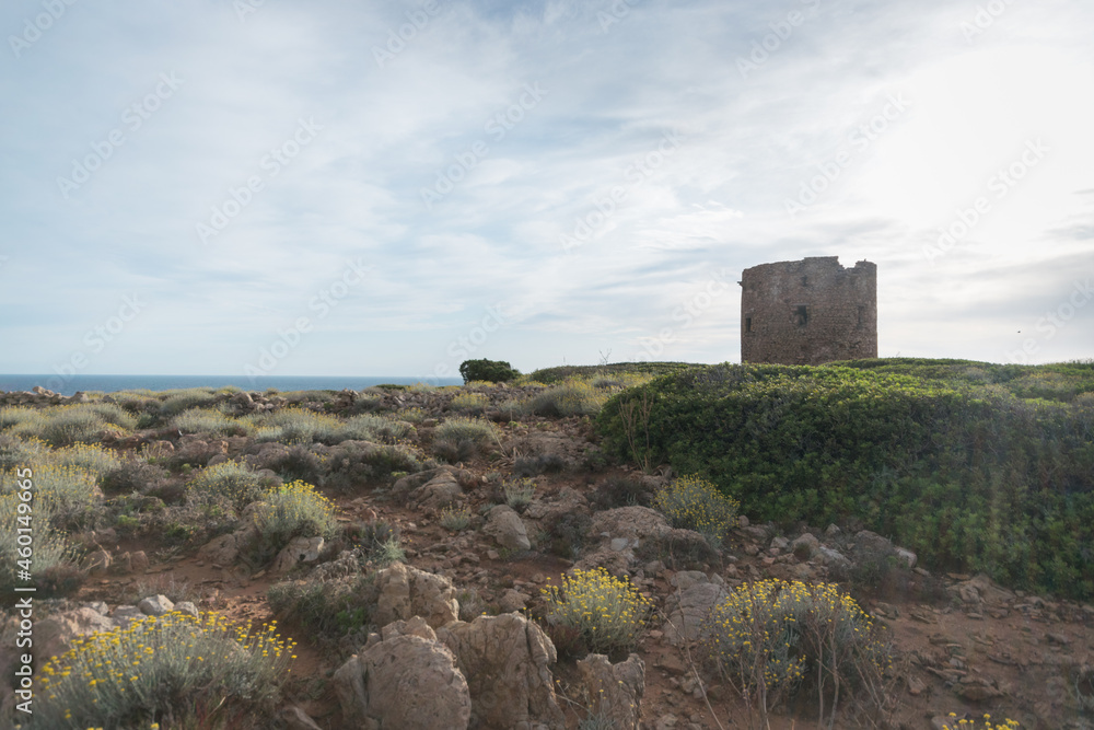 The tower of Cala Domestica 