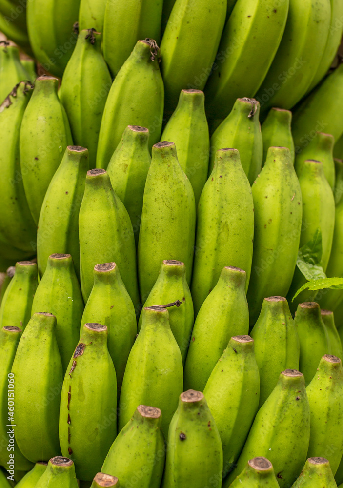 Bananas close-up as a background. Tropical fruits, vitamins, vegetarian food.