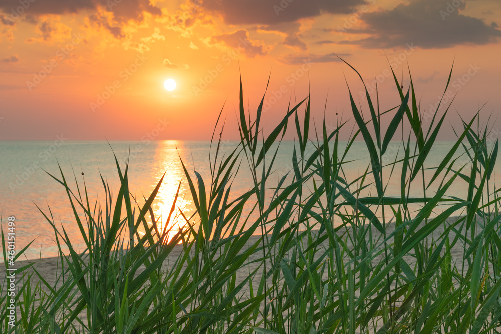 Color sunset on the beach. Color sunset on the beach.