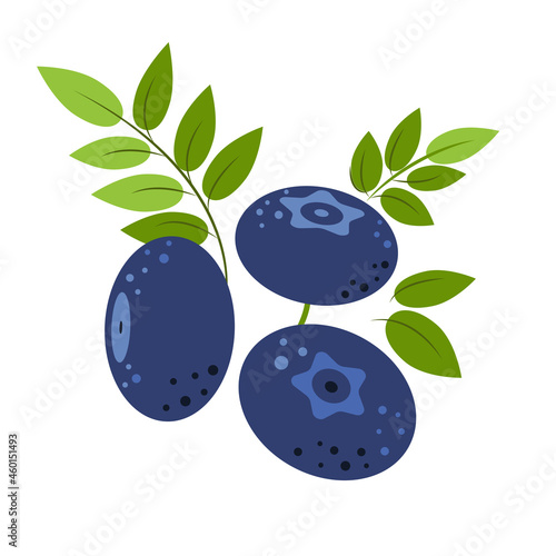 Blueberry. Ripe juicy berries with green leaves. Berries for jam and dessert. Flat style. Vector Illustration.