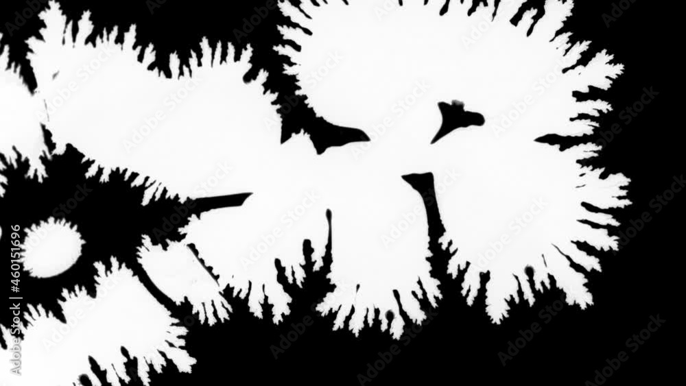 White ink spreads on black background. Ink blot on black background. Ink blot runs on black. White ink spreads on black background. Ink blot on black background. Ink blot runs on black.