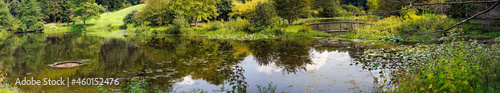 Panorama of summer park pond.                         