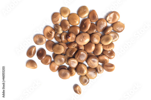 Pebble tamarind seeds isolated with white background.