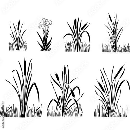 Cat Tails Pond Grass Stencil Vector