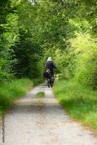 auf dem Radweg. Älterer Mann auf dem Fahrrad von hinten mit kleinem Hund im Korb