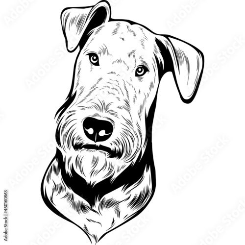 Airedale Terrier