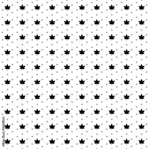 Square seamless background pattern from geometric shapes are different sizes and opacity. The pattern is evenly filled with big black maple leafs. Vector illustration on white background © Alexey