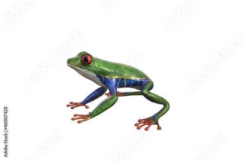 Amazonas-Laubfrosch - Rote Augen. 3D-Rendering-Illustration.