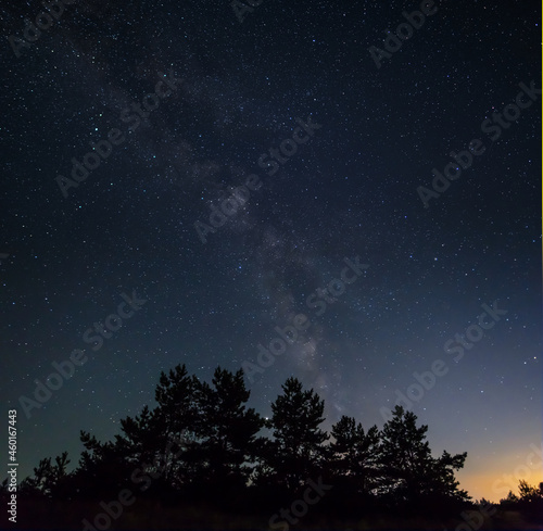 night forest silhouette under starry sky backgrouna