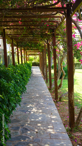 Berso is a garden and park structure, a gallery, a passage formed by vertical walls of the trellis type for climbing plants and a vaulted ceiling of the alley. summer vacation garden photo